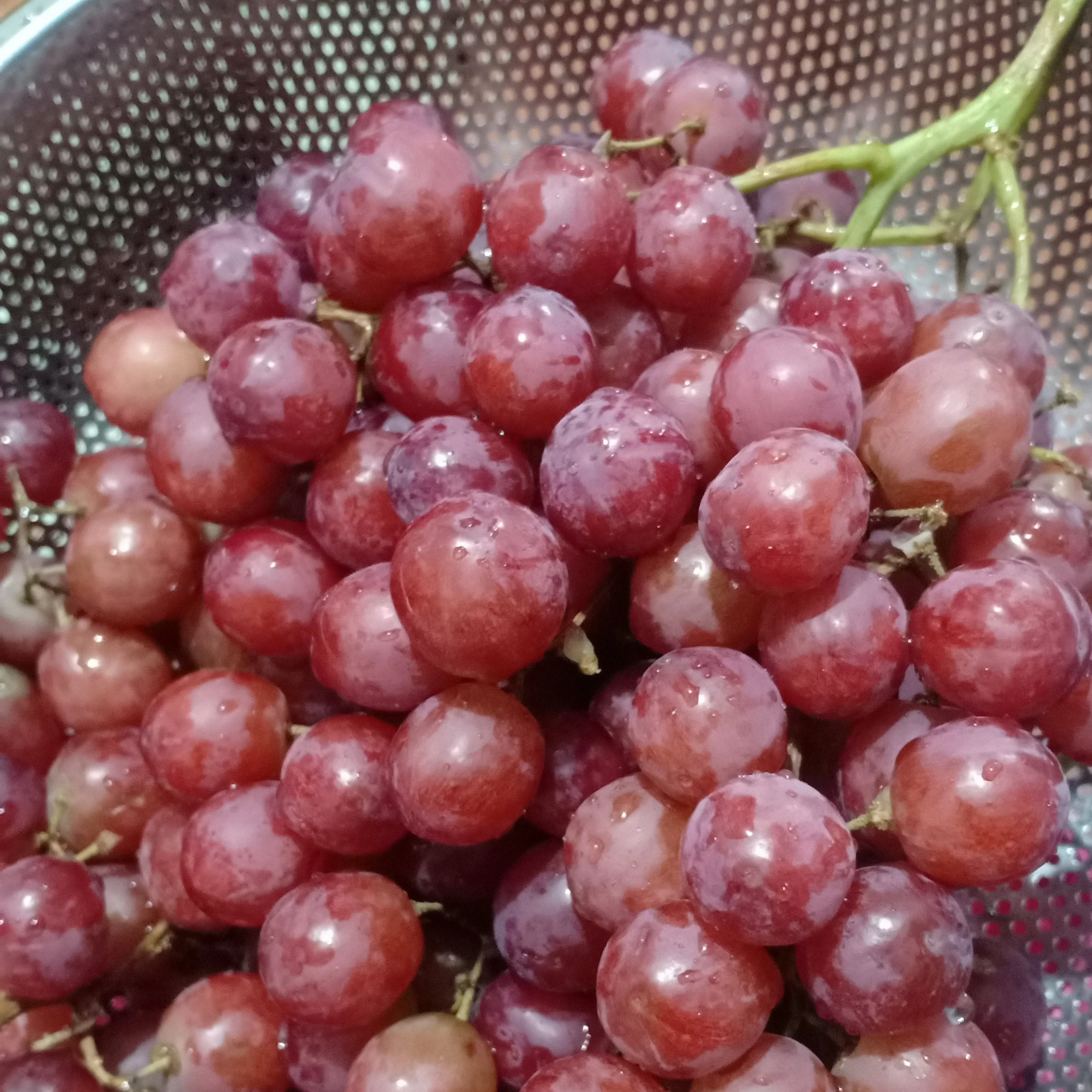Red Grapes 5
